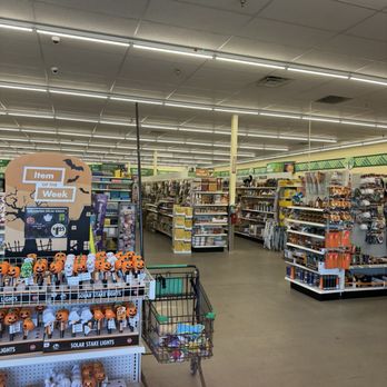 Dollar Tree - Walking in.... - Discount Store Near Me - Fresno, California Dollar Tree - Walking in.... - Discount Store Near Me - Fresno, California