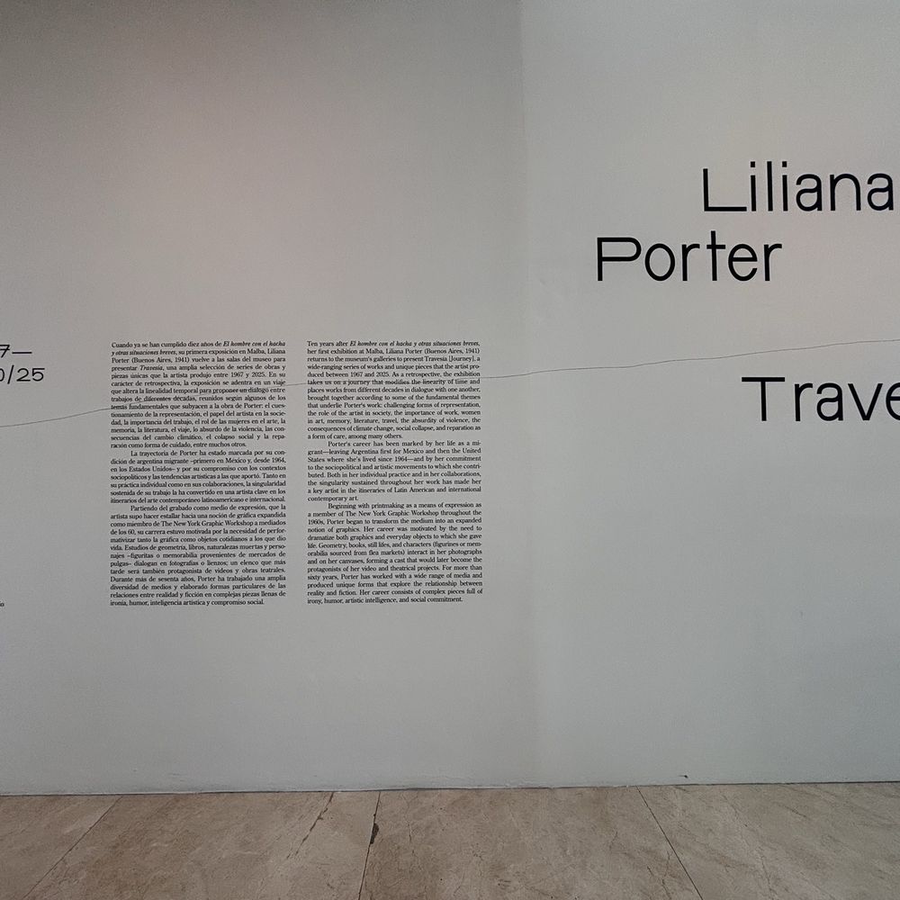 MALBA - Fundación Costantini - Liliana Porter exhibition on 3rd floor - Museums Near Me - Buenos Aires, C