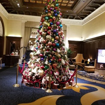 The Drake - Love the holidays in Chicago! - Hotels Near Me - Chicago, Illinois The Drake - Love the holidays in Chicago! - Hotels Near Me - Chicago, Illinois