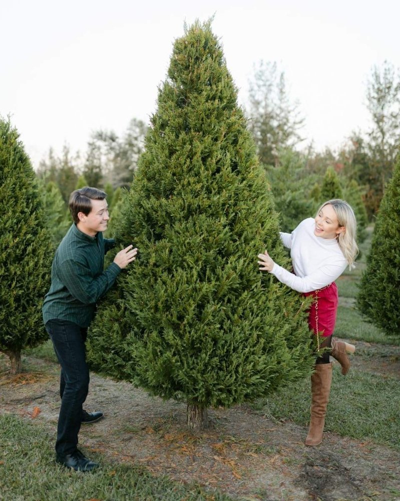 Christmas Town Christmas Tree Farm