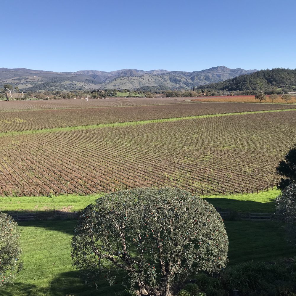 Far Niente - The grounds from the main house - Wineries Near Me - Oakville, California