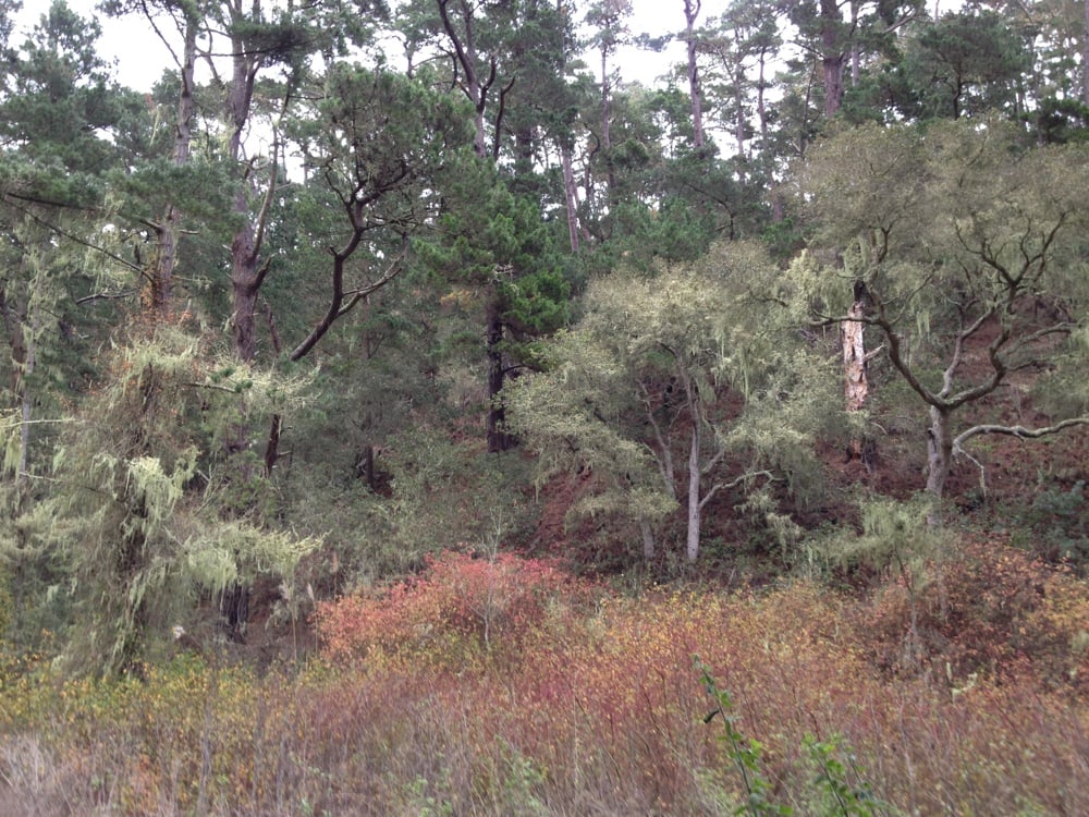 HATTON CANYON STATE PARK 2211 Garden Road, Monterey, CA Yelp