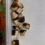 Photo of Front Page Deli