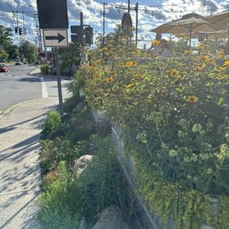 Gardens of Lola's