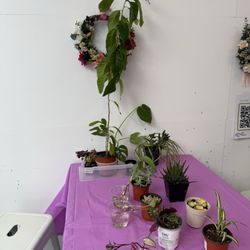 Luludi Living Art