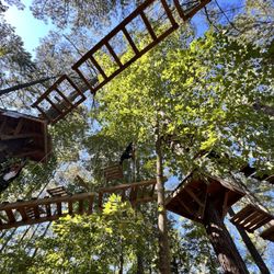 TreeRunner Adventure Park
