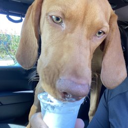 Popappuccino for Barley