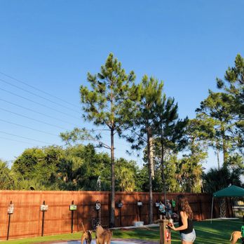 BrewHound Dog Park + Bar - Doggie pad - Dog Parks Near Me - Neptune Beach, Florida