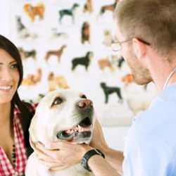 Cedarwood Veterinary Hospital - Photo