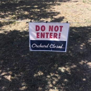 Riley's Farm - Part of one of the orchards was small and closed off. Buzzkill - Fruits & Veggies Near Me - Oak Glen, California Riley's Farm - Part of one of the orchards was small and closed off. Buzzkill - Fruits & Veggies Near Me - Oak Glen, California