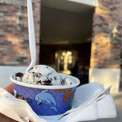 Kilwins Ice Cream - Chocolate - Fudge