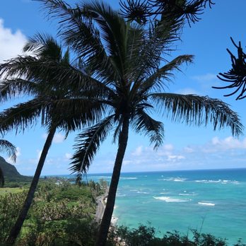 Kualoa Ranch - Hollywood movie sites tour - Tours Near Me - Kaneohe, Hawaii Kualoa Ranch - Hollywood movie sites tour - Tours Near Me - Kaneohe, Hawaii