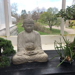 Oasis Yoga And Wellness - Buffalo and Erie County Botanical Gardens.