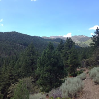 Mt Rose Hike - Hiking Near Me - Incline Village, Nevada Mt Rose Hike - Hiking Near Me - Incline Village, Nevada