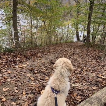 Scott's Run Nature Preserve - Parks Near Me - McLean, Virginia