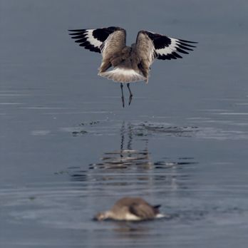 Moss Landing Wildlife Area - Hiking Near Me - Moss Landing, California
