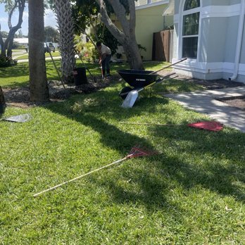 Arbor Master Tree & Landscape - Before- gravel removal - Tree Services Near Me - Cocoa , Florida Arbor Master Tree & Landscape - Before- gravel removal - Tree Services Near Me - Cocoa , Florida