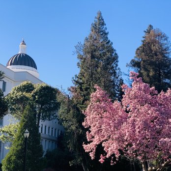 Capitol Park - Parks Near Me - Sacramento, California Capitol Park - Parks Near Me - Sacramento, California