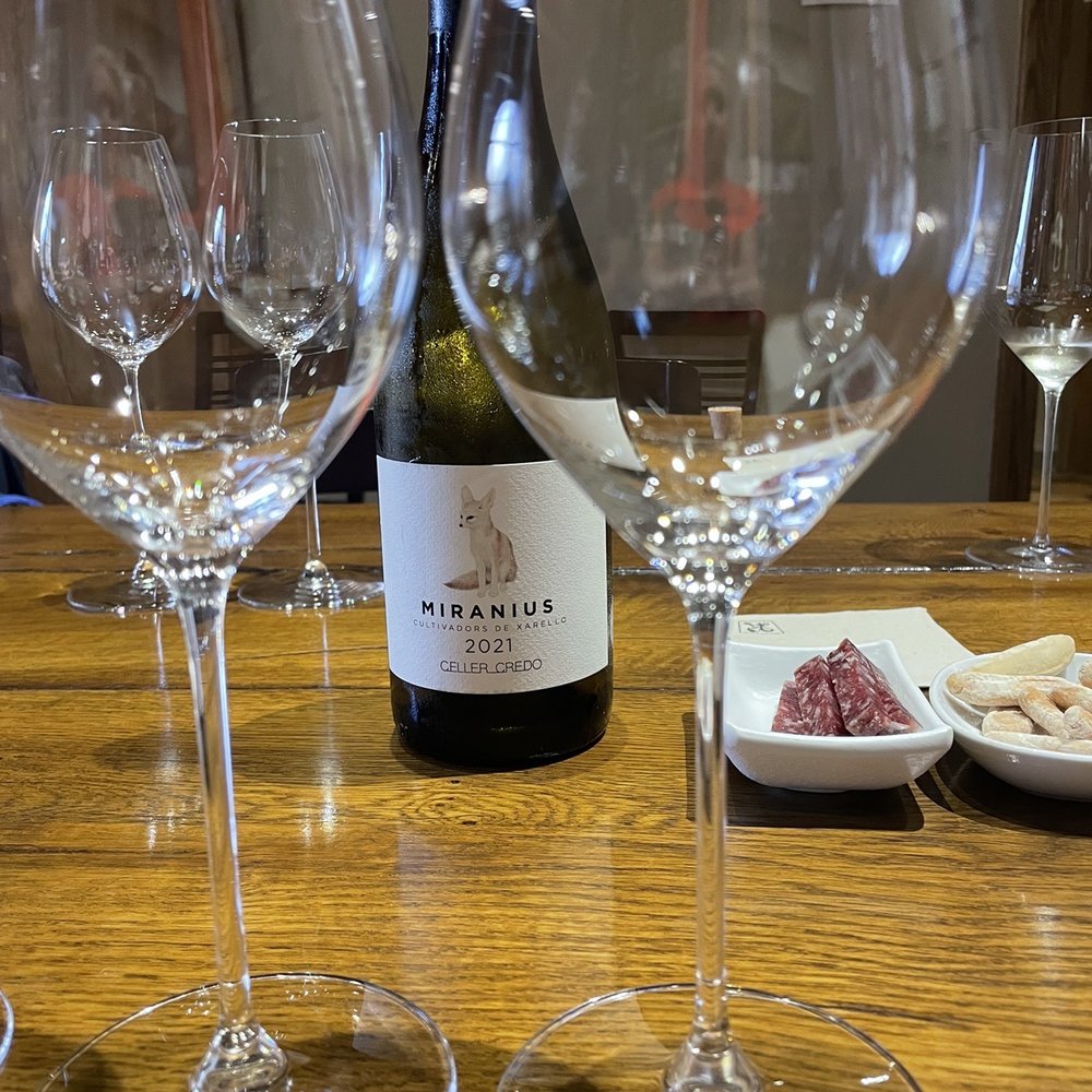 Recaredo - Tasting at end of tour - Wineries Near Me - Sant Sadurní d'Anoia, B