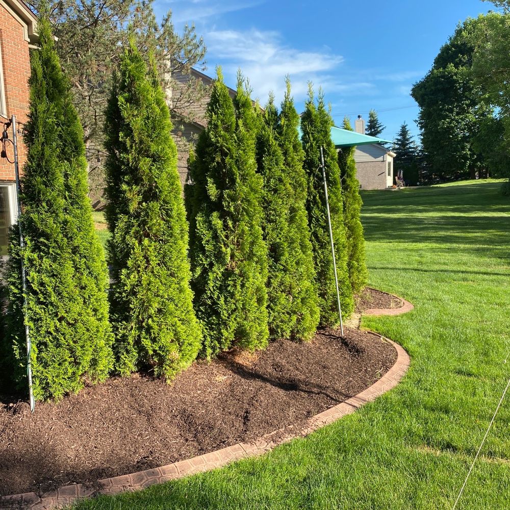 American Mulch Producers - Nurseries & Gardening Near Me - Southfield, Michigan American Mulch Producers - Nurseries & Gardening Near Me - Southfield, Michigan
