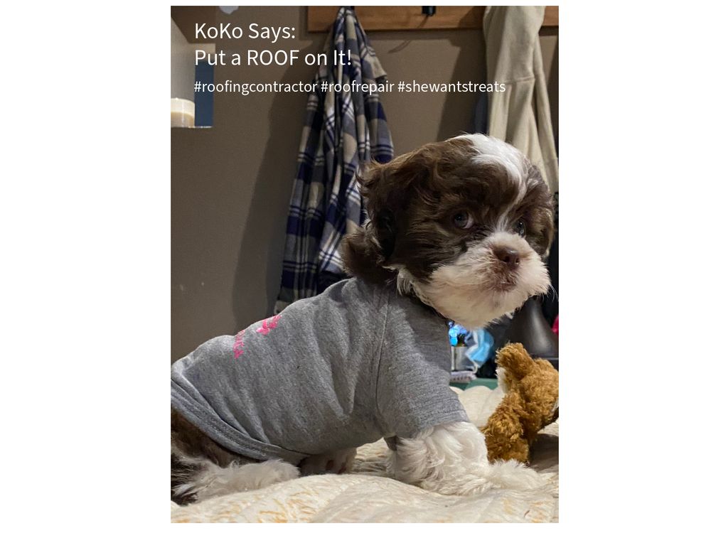 Slide of S Graves Construction And Roofing