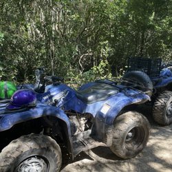 Maya Adrenaline - Atv