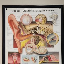 The ENT & Allergy Centers of Texas