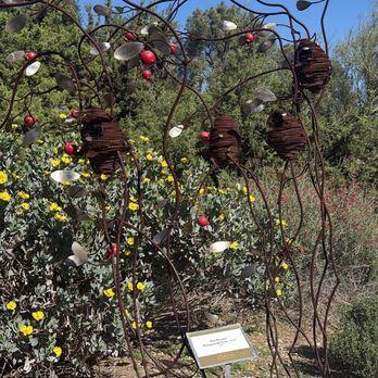 California Botanic Garden - Botanical Gardens Near Me - Claremont, California