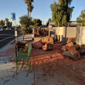 DLN Pro Landscaping - Death tree removed - Landscaping Near Me DLN Pro Landscaping - Death tree removed - Landscaping Near Me