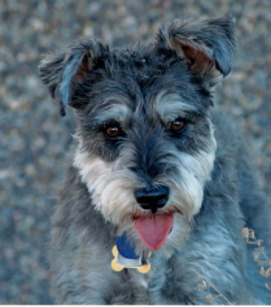 FOOTPRINTS ANIMAL HOSPITAL Updated September 2024 2525 High Country