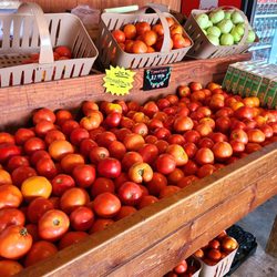 Perfect tomatoes