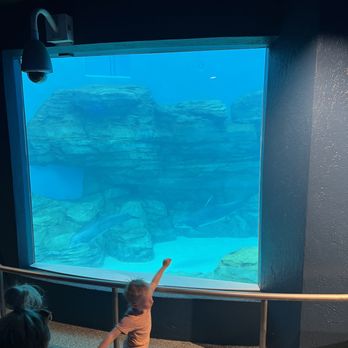 Brookfield Zoo Chicago - Zoos Near Me - Brookfield, Illinois