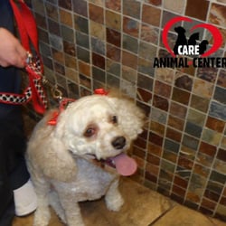 family pet vet west branch