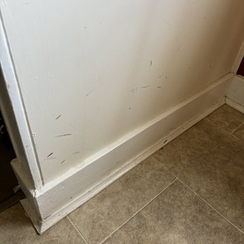 Gold Inn - Dirty / scuffed wall and baseboards - Hotels Near Me - Hot Springs, Arkansas Gold Inn - Dirty / scuffed wall and baseboards - Hotels Near Me - Hot Springs, Arkansas