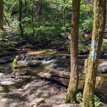 Station Cove Falls - Hiking Near Me - Walhalla, South Carolina Station Cove Falls - Hiking Near Me - Walhalla, South Carolina