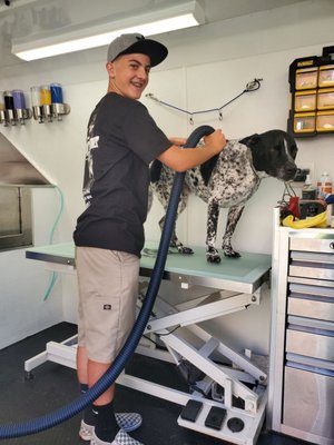 fantasy spa mobile pet grooming