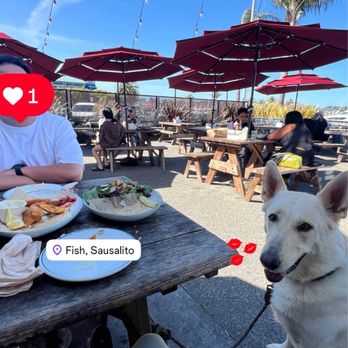 Fish - Outdoor seating - Seafood Near Me - Sausalito, California