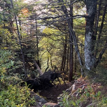 Waterrock Knob - Parks Near Me - Scott Creek, North Carolina