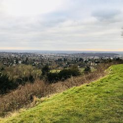 Reigate Hill & Gatton Park