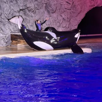 SeaWorld Orlando - Amusement Parks Near Me - Orlando, Florida