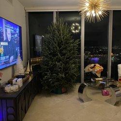 Christmas Tree Delivery