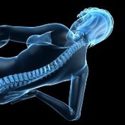 Holistic Health Force