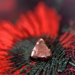 Outer Limits Tattoo & Body Piercing - BVLA jewelry in stock