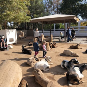 Phoenix Zoo - Goat area at the petting zoo - Zoos Near Me - Phoenix, Arizona