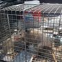 Photo of First Choice Pest Control