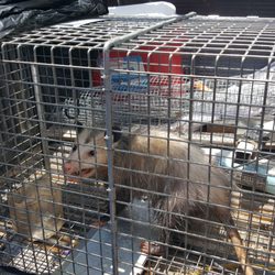 First Choice Pest Control
