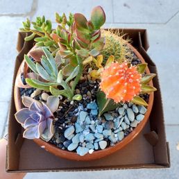 What's not to love about this? Meet Clementina, I mean look at this for only $20! What's not to love about this? Meet Clementina, I mean look at this for only $20!