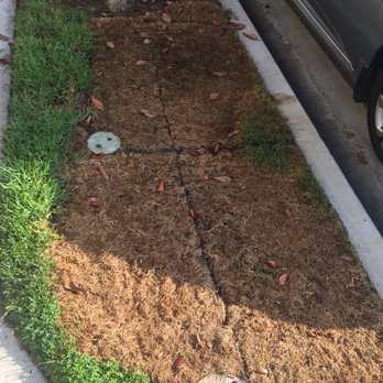Brickman - a hole in the ground where a fire hydrant is located - Landscaping Near Me - San Diego, California