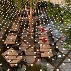 Tequila Rio - A bird's eye view of our Jungle Barroom!