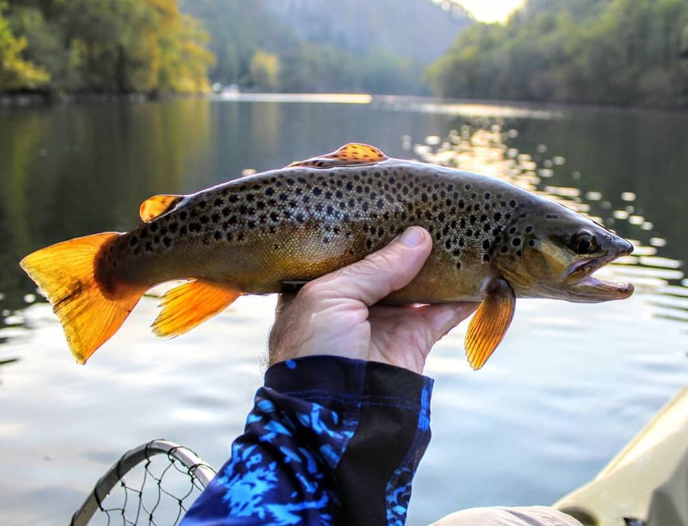 Smoky Mountain Kayak Fishing Logo